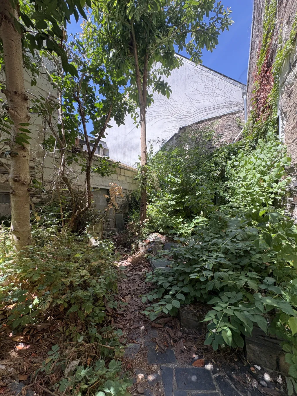 achat maison Angers